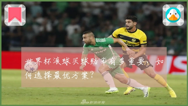 世界杯滚球买球赔率有多重要，如何选择最优方案？