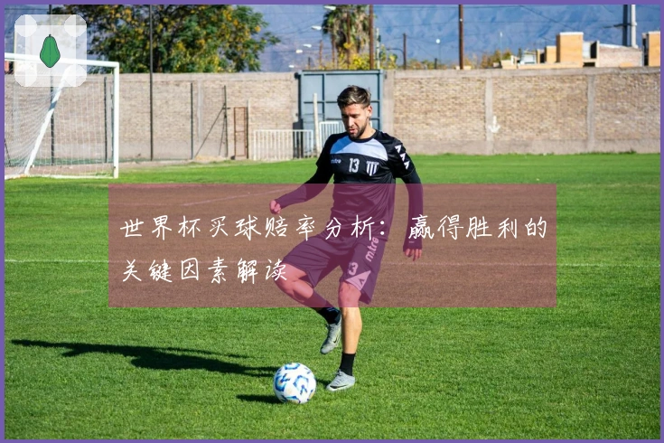 世界杯买球赔率分析：赢得胜利的关键因素解读