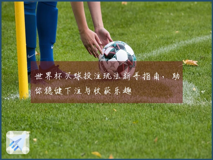 世界杯买球投注玩法新手指南，助你稳健下注与收获乐趣