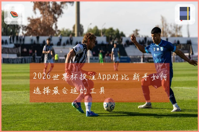 2026世界杯投注App对比 新手如何选择最合适的工具