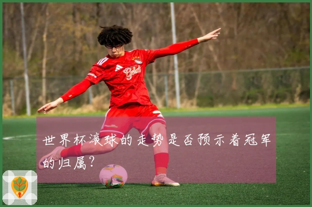 世界杯滚球的走势是否预示着冠军的归属？