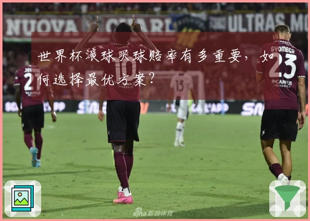 世界杯滚球买球赔率有多重要，如何选择最优方案？