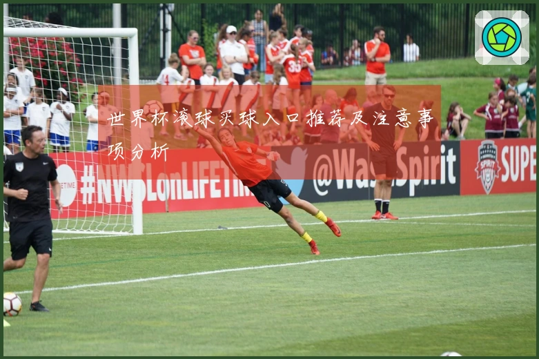 世界杯滚球买球入口推荐及注意事项分析