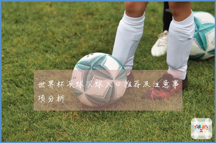 世界杯滚球买球入口推荐及注意事项分析