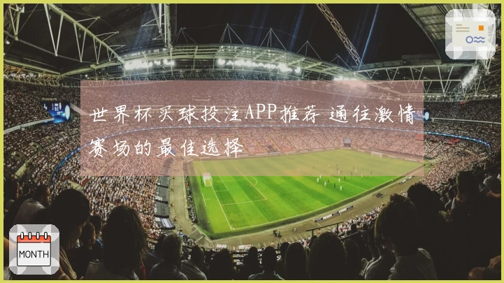世界杯买球投注APP推荐 通往激情赛场的最佳选择