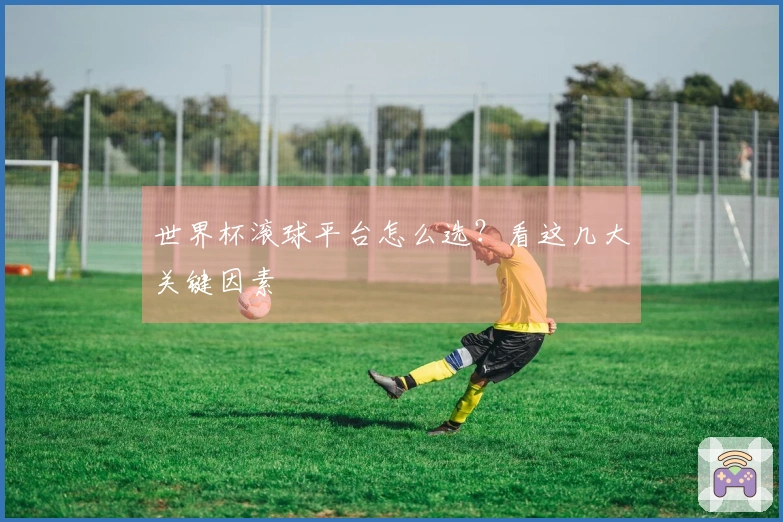 世界杯滚球平台怎么选？看这几大关键因素